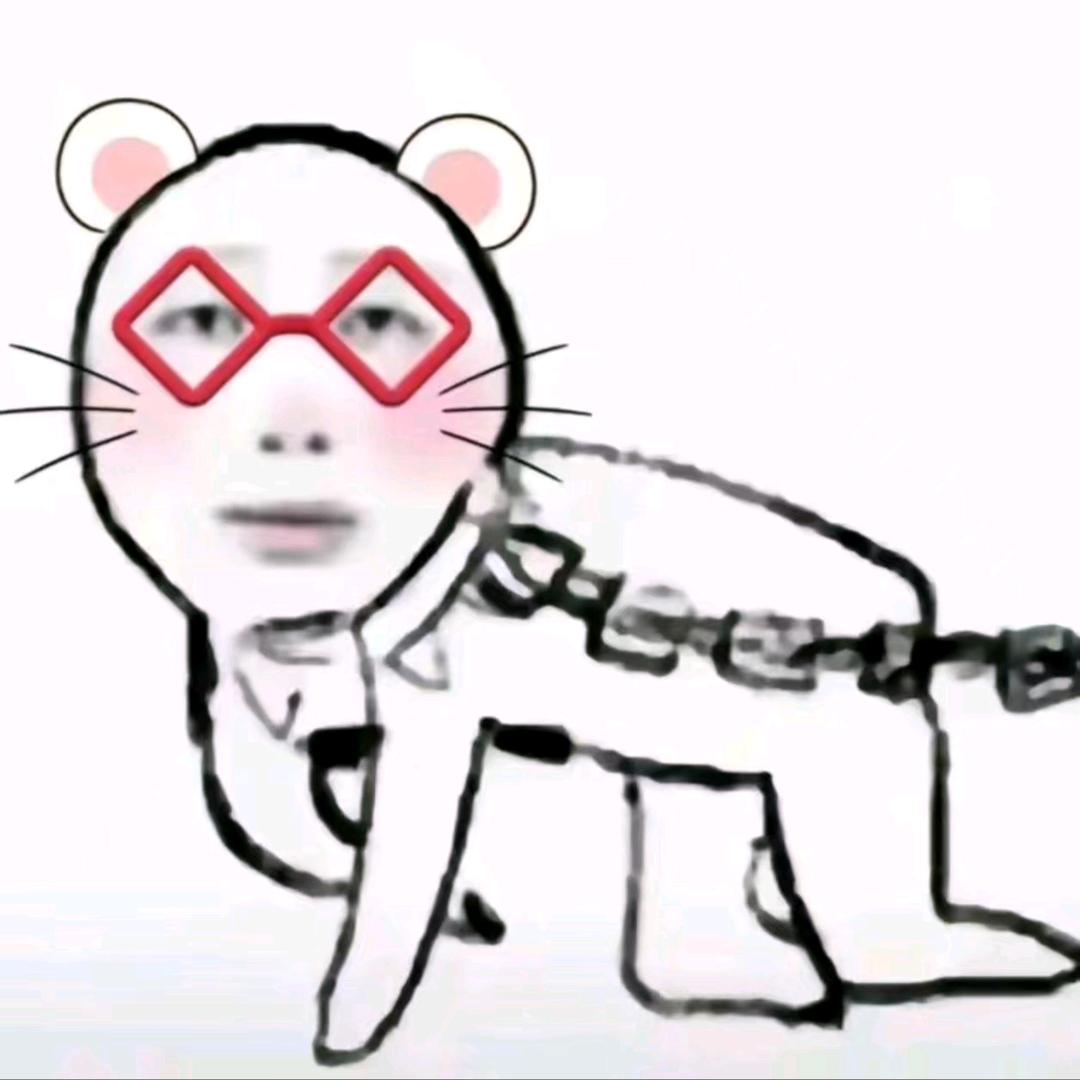 小猫先生😼