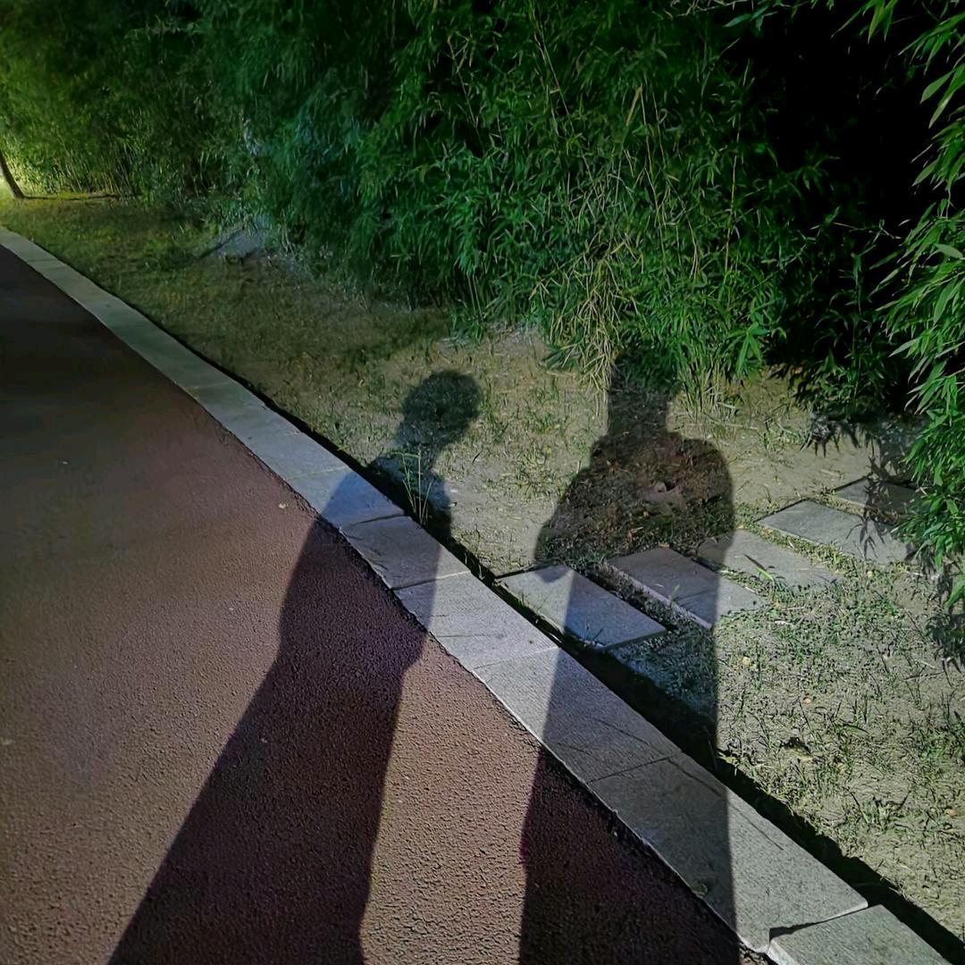 泗洋