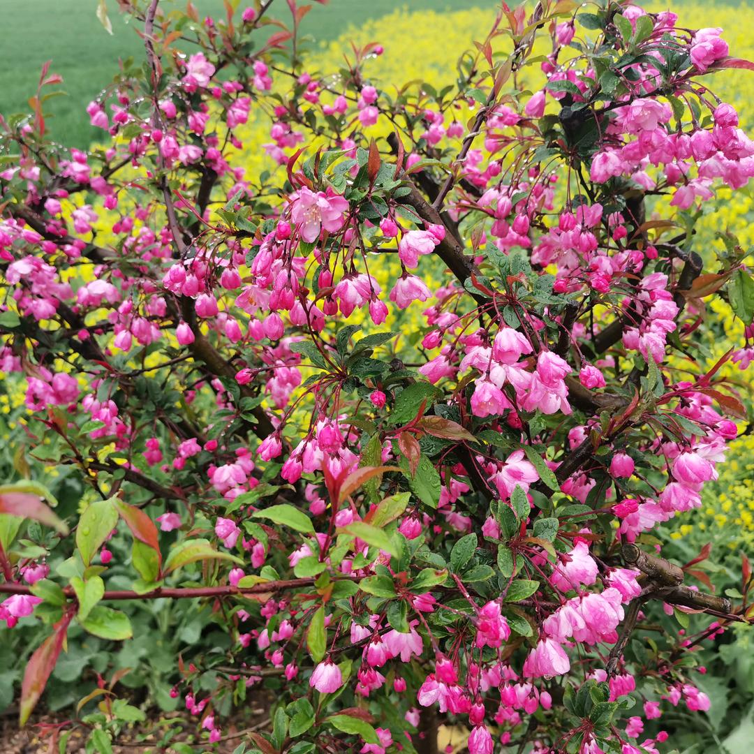 潇洒人生，在外漂泊的人。