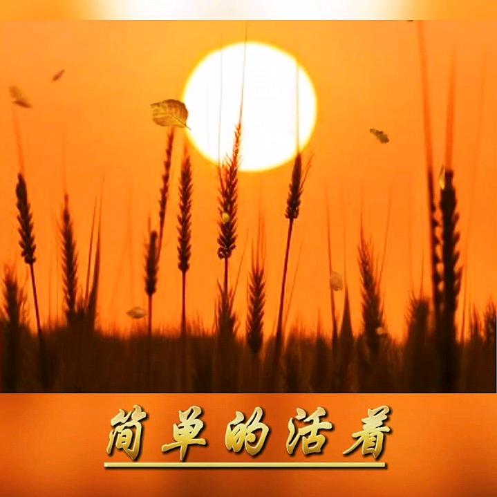 小禾苗的姥姥