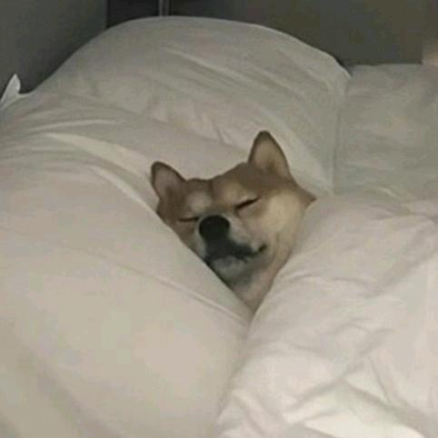 悲催的南瓜西米露