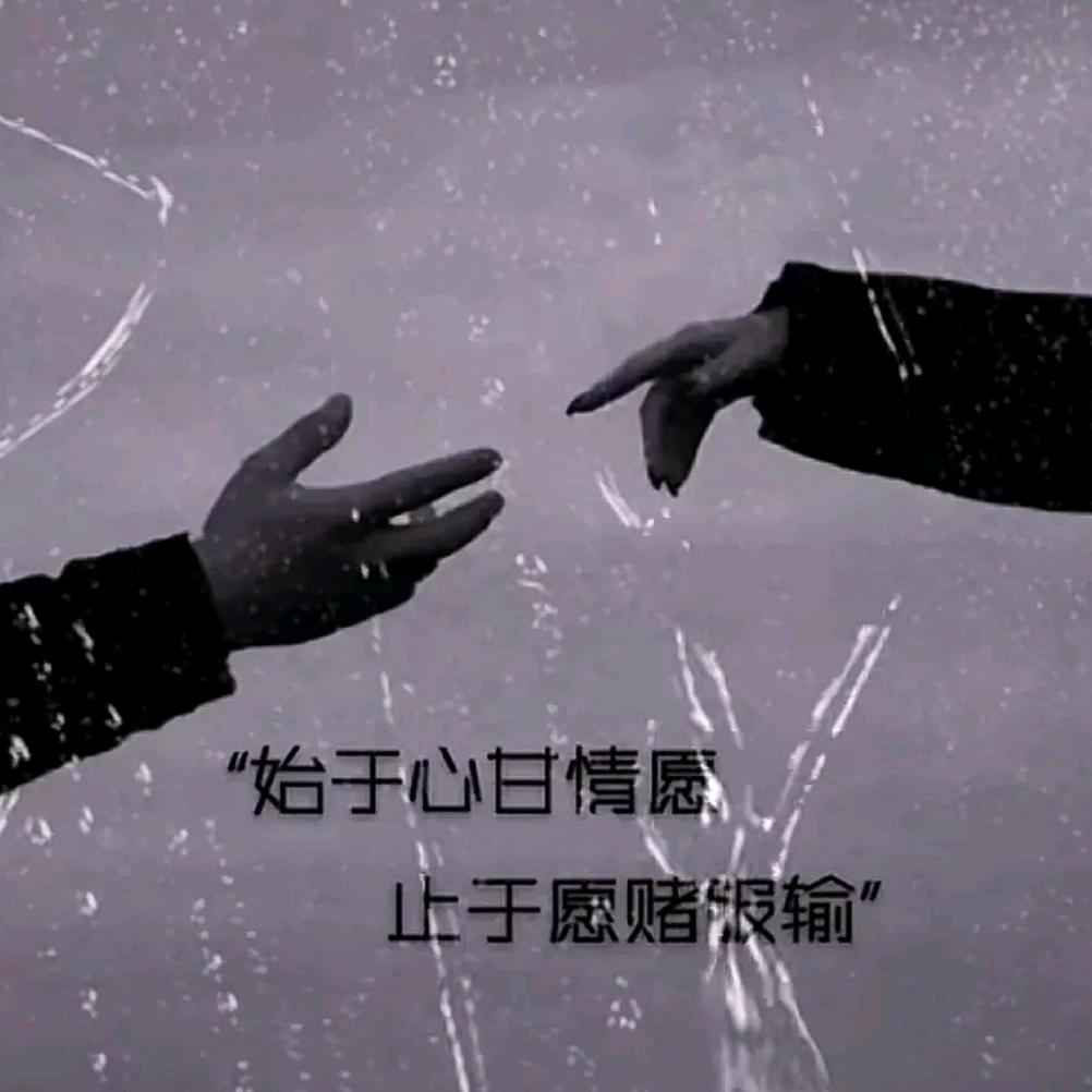 得力的松鼠