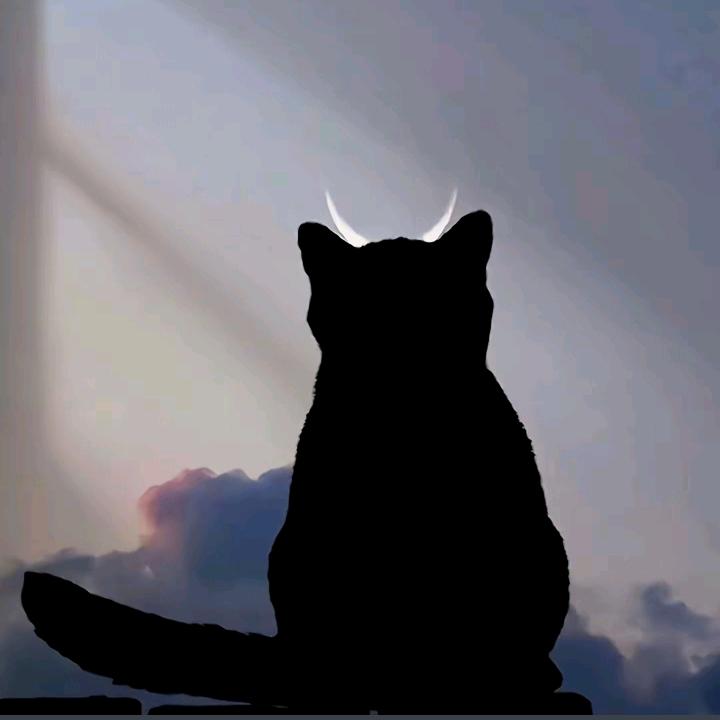 二妮.