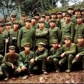 野狼