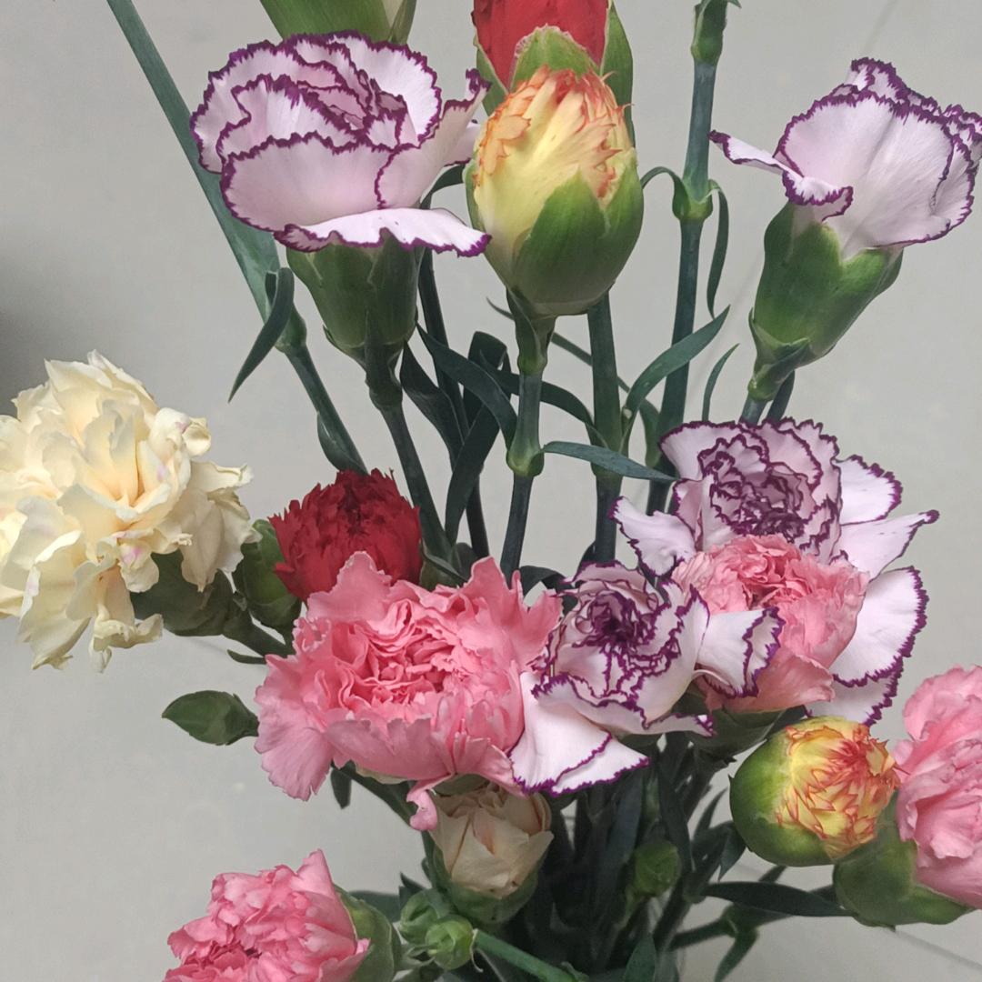 钱💰多多💰💰