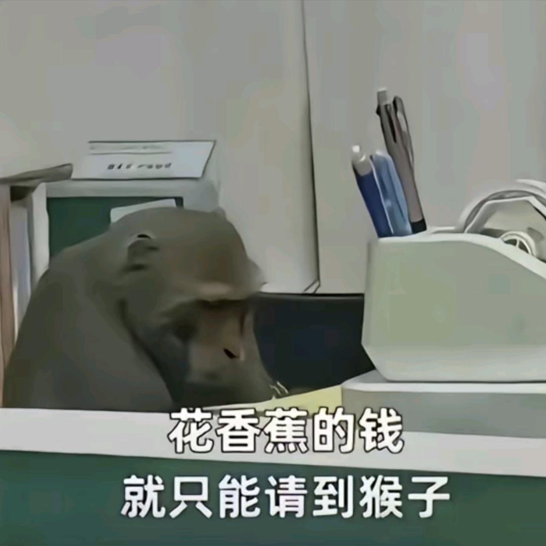 上辈子杀猪这辈子教书