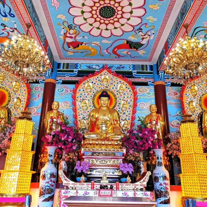 福到🌹财到🚗好运到🛬✈️