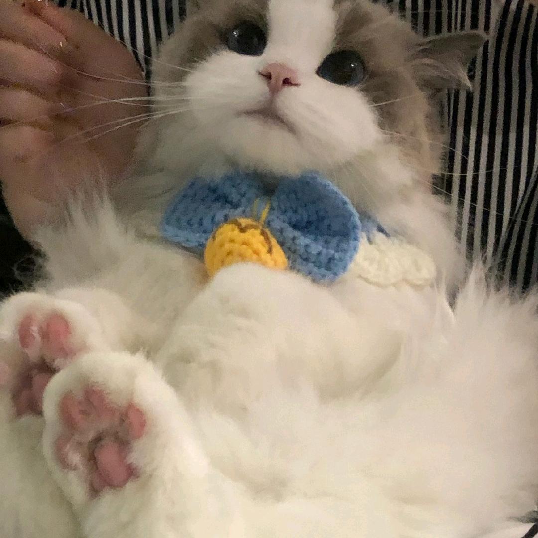循迹