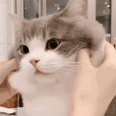 宁宁好物优选