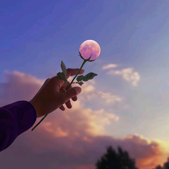 大鱼🌸