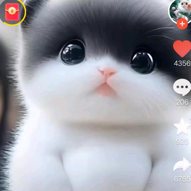 吴比幸福