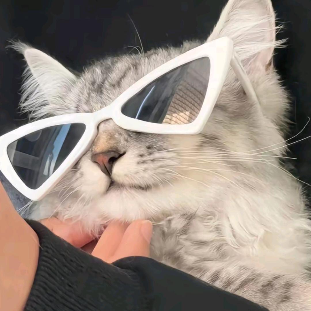 𝐿𝐾