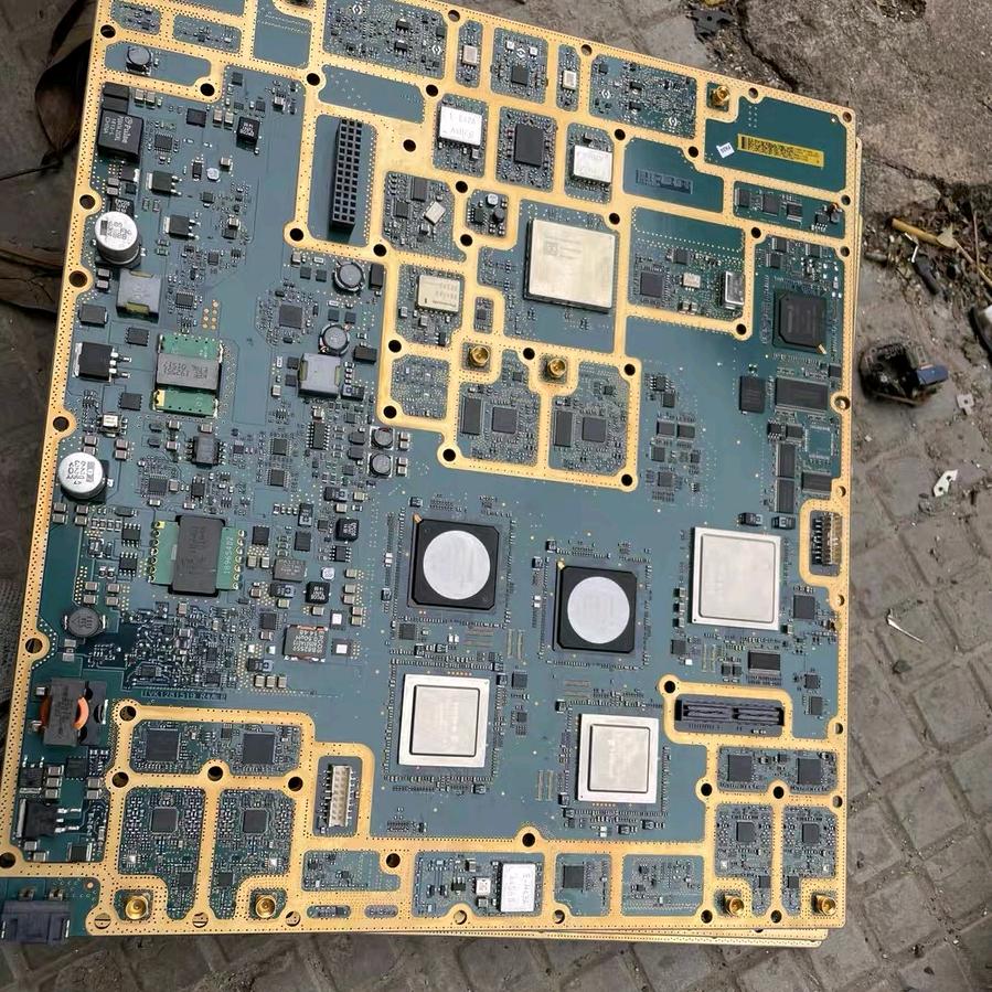 椰子树下的三角梅