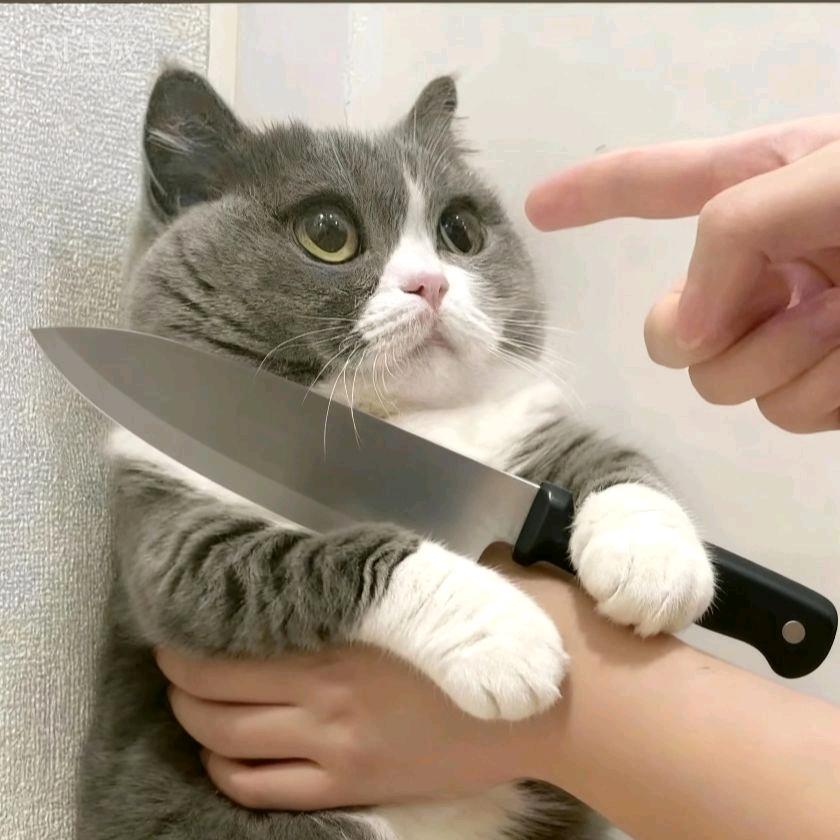 ᥫᩣ  𝒕𝒊𝒎𝒎𝔂