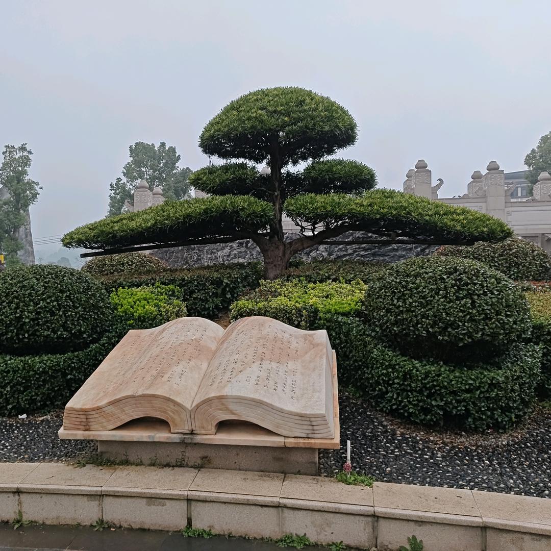 💐木槿🐑星辰🐍