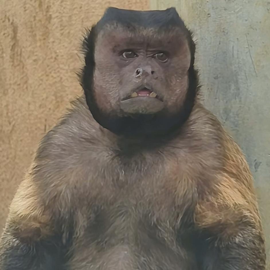 法海不懂爱