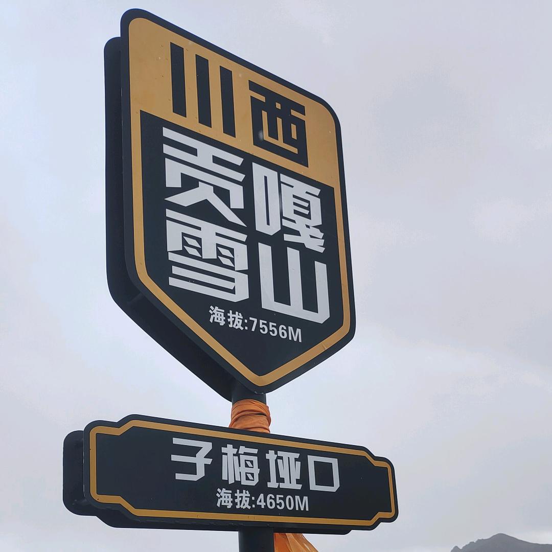 可惜，没有如果