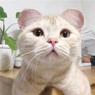为了理想而奋斗