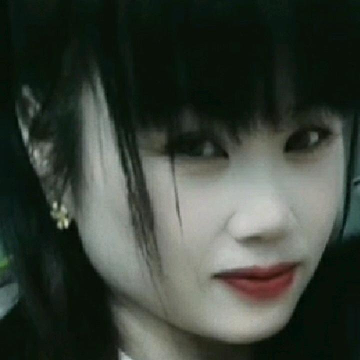 香樟树🔥🔥