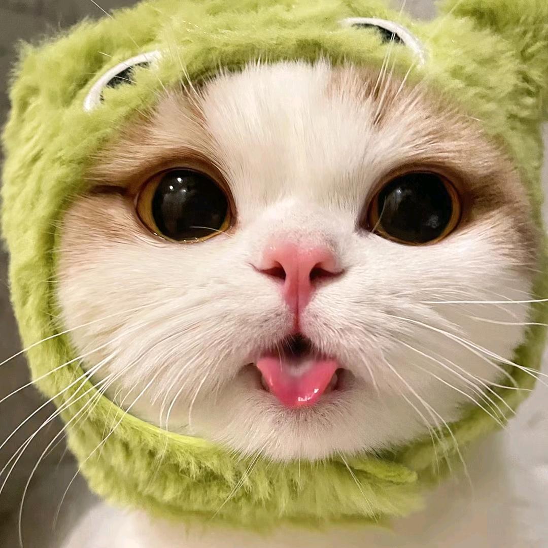 萌宝贝