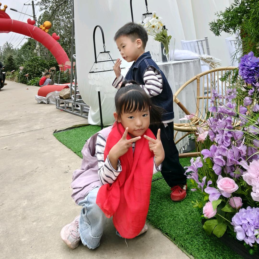 🌲千年舟板材🌴🌹?