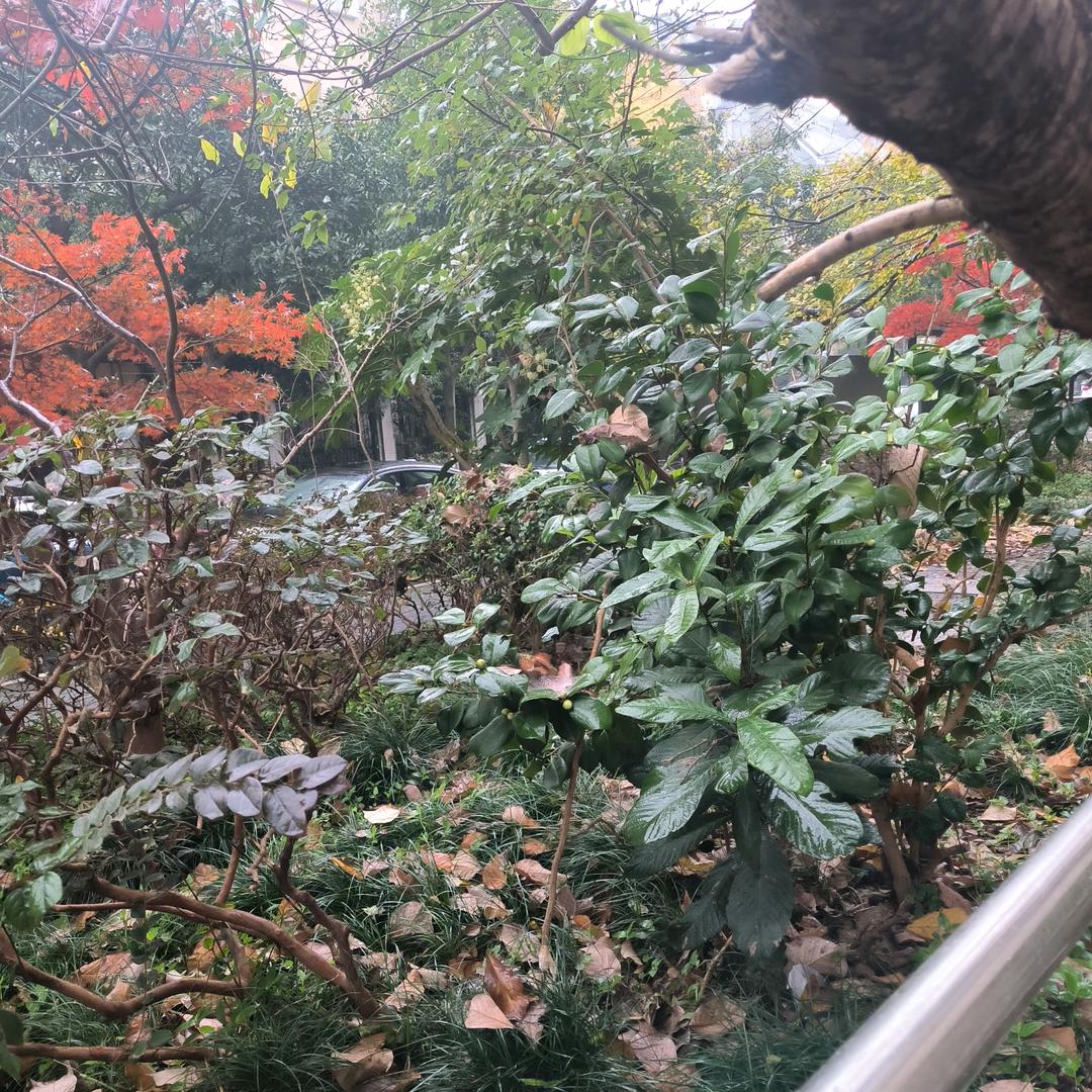 a简简单单