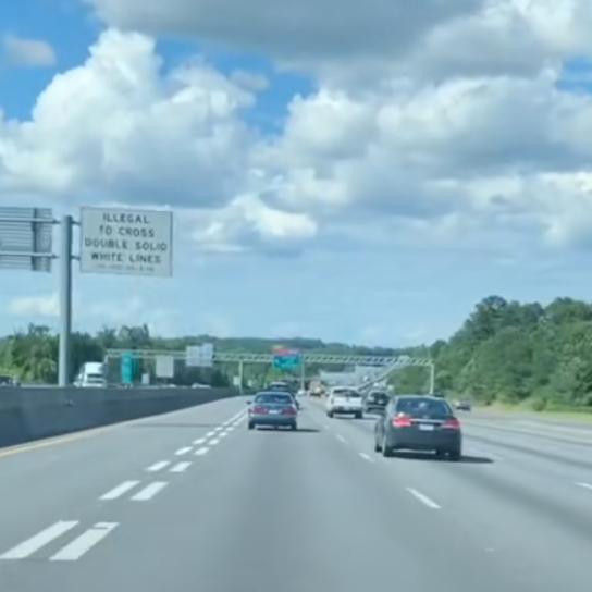 🌻🍀☘️喜欢自由