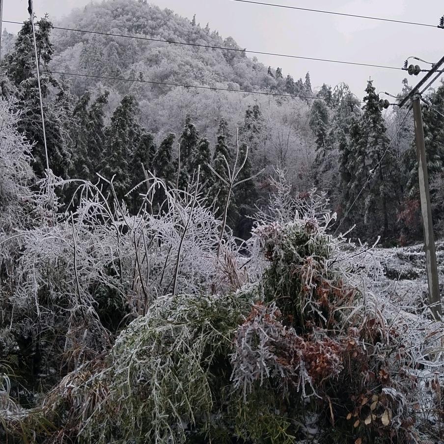 没有完美的人生