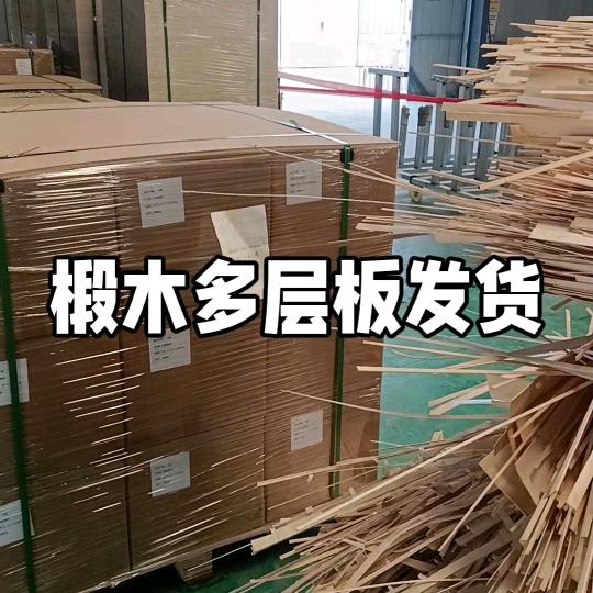 半夏园艺个体店