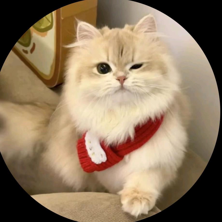 巢湖学院小陈学长