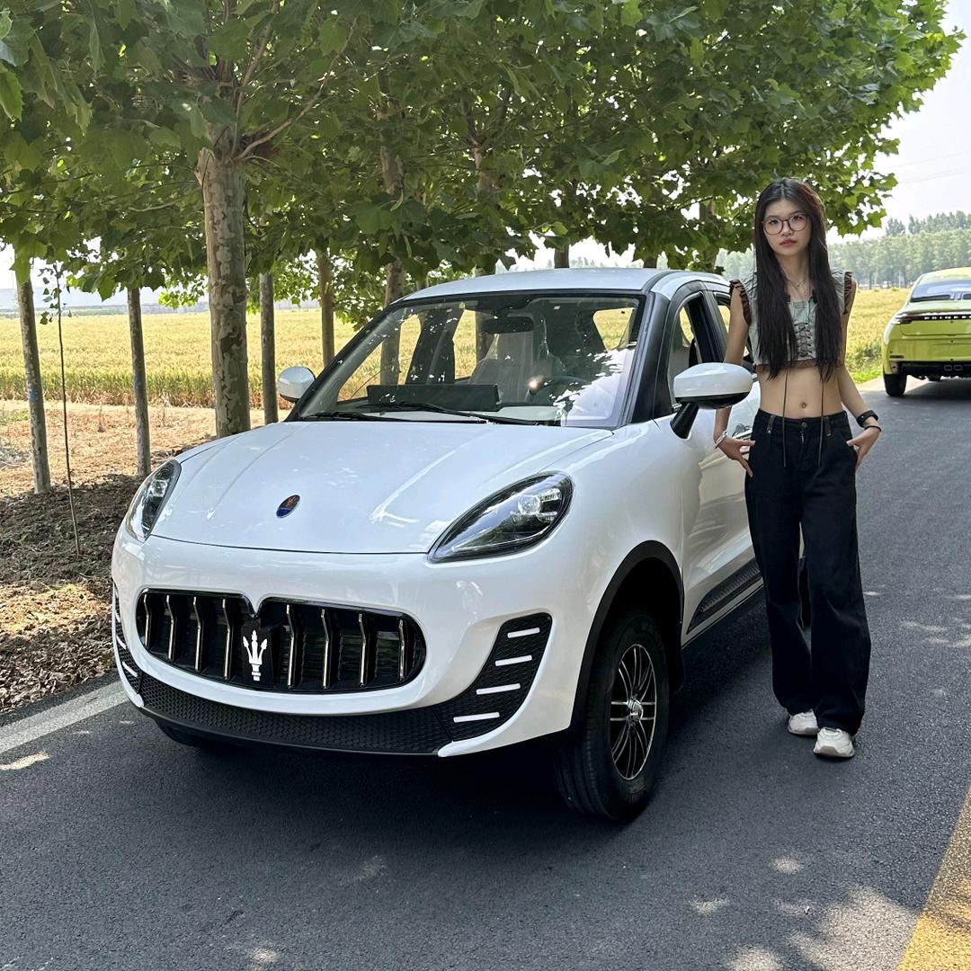 鸿暖新能源四轮电动车厂家