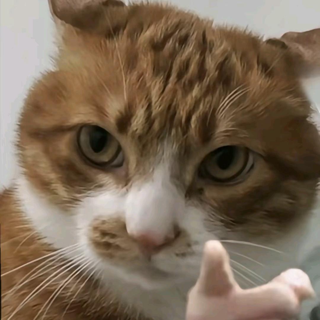 此生必开迈巴赫