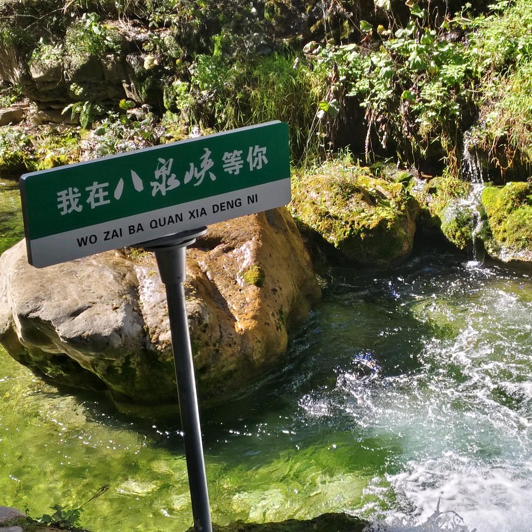 飞哥