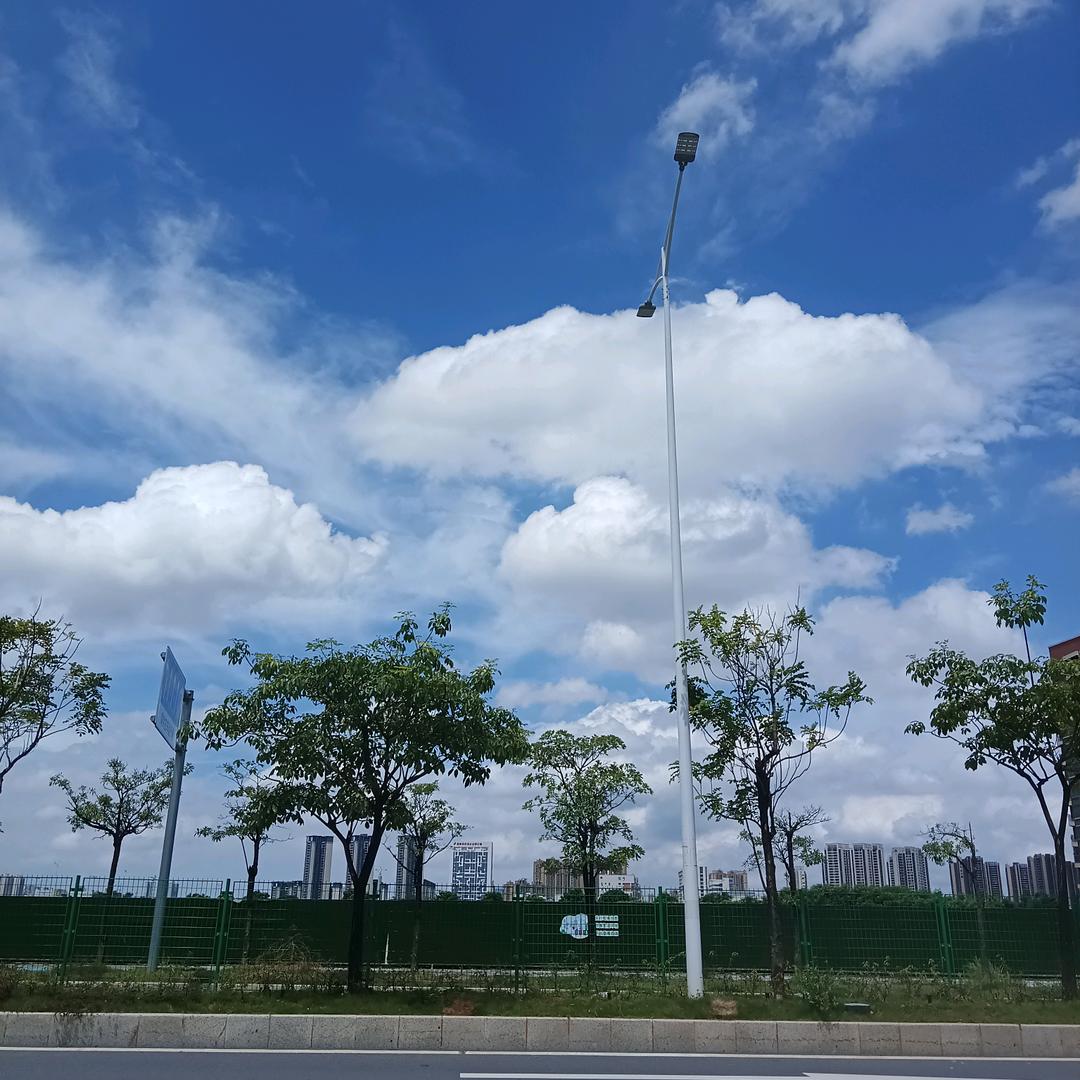 青青子衿魏
