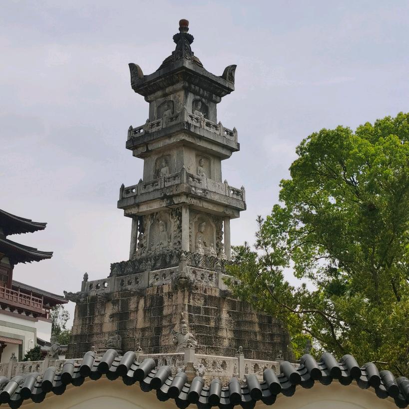雄鹰