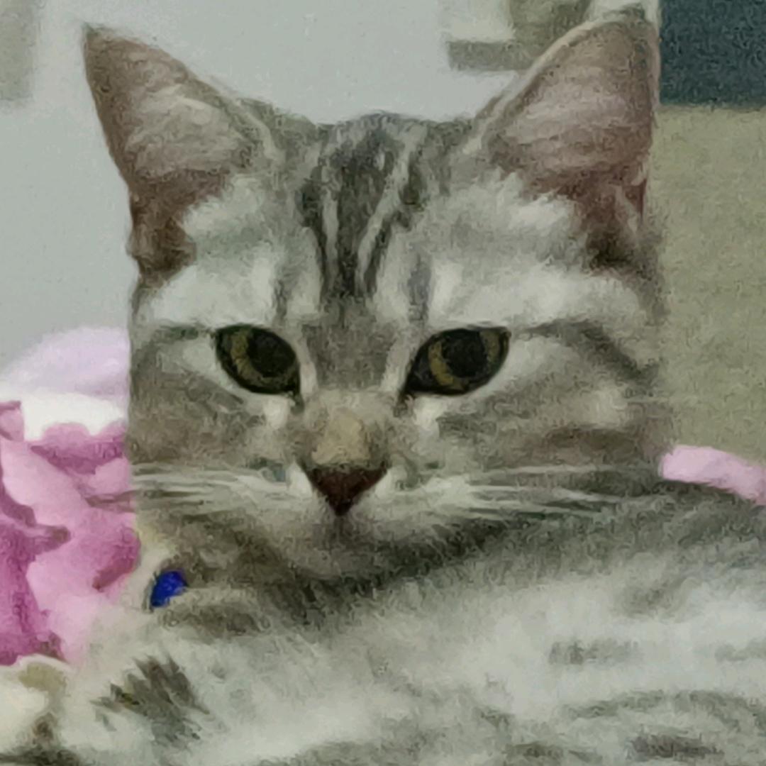 一七零🐱