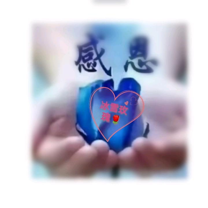 冰雪玫瑰🌹