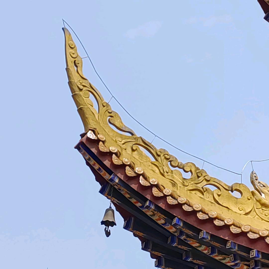 洞见彼岸