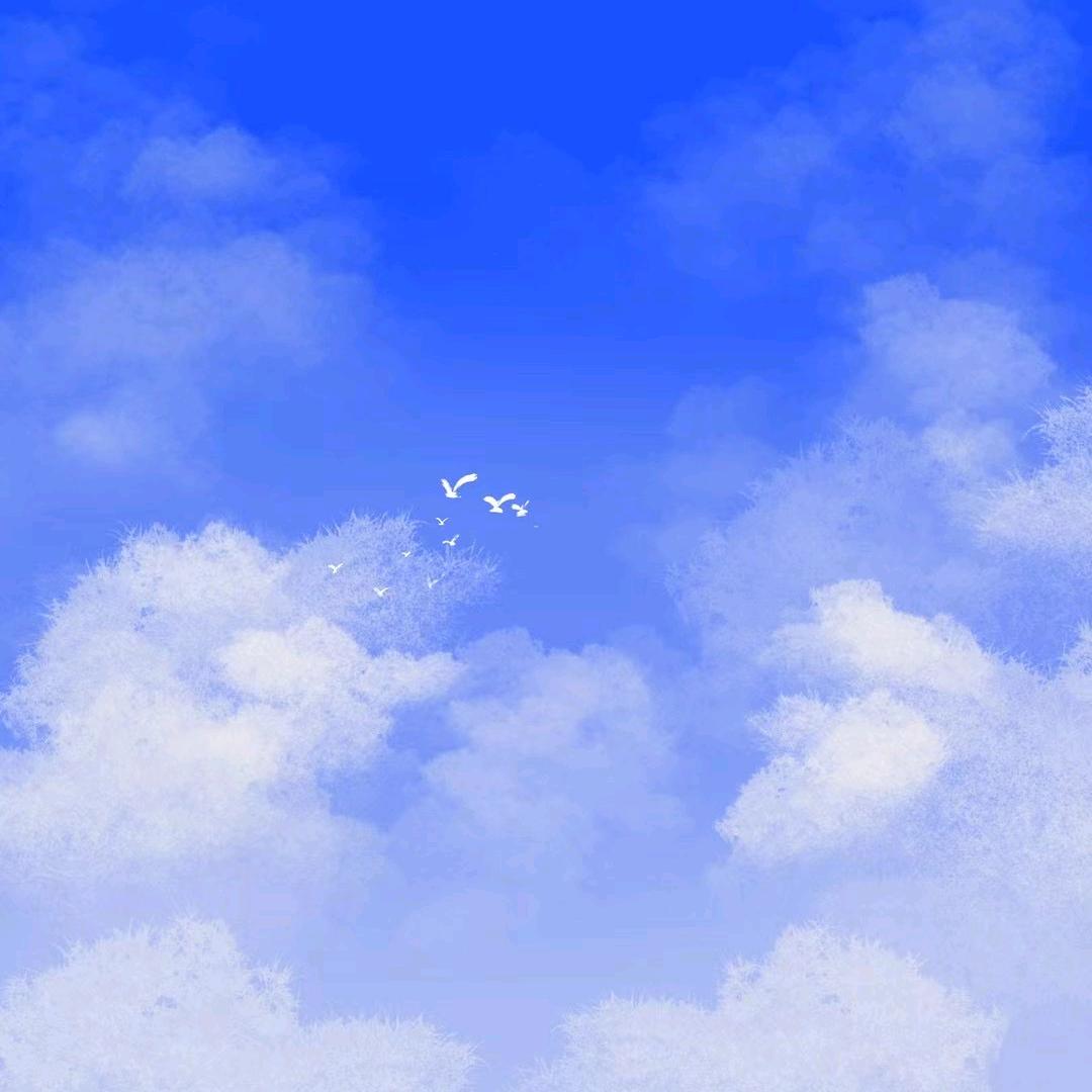 尊贵的星越L天际版车主