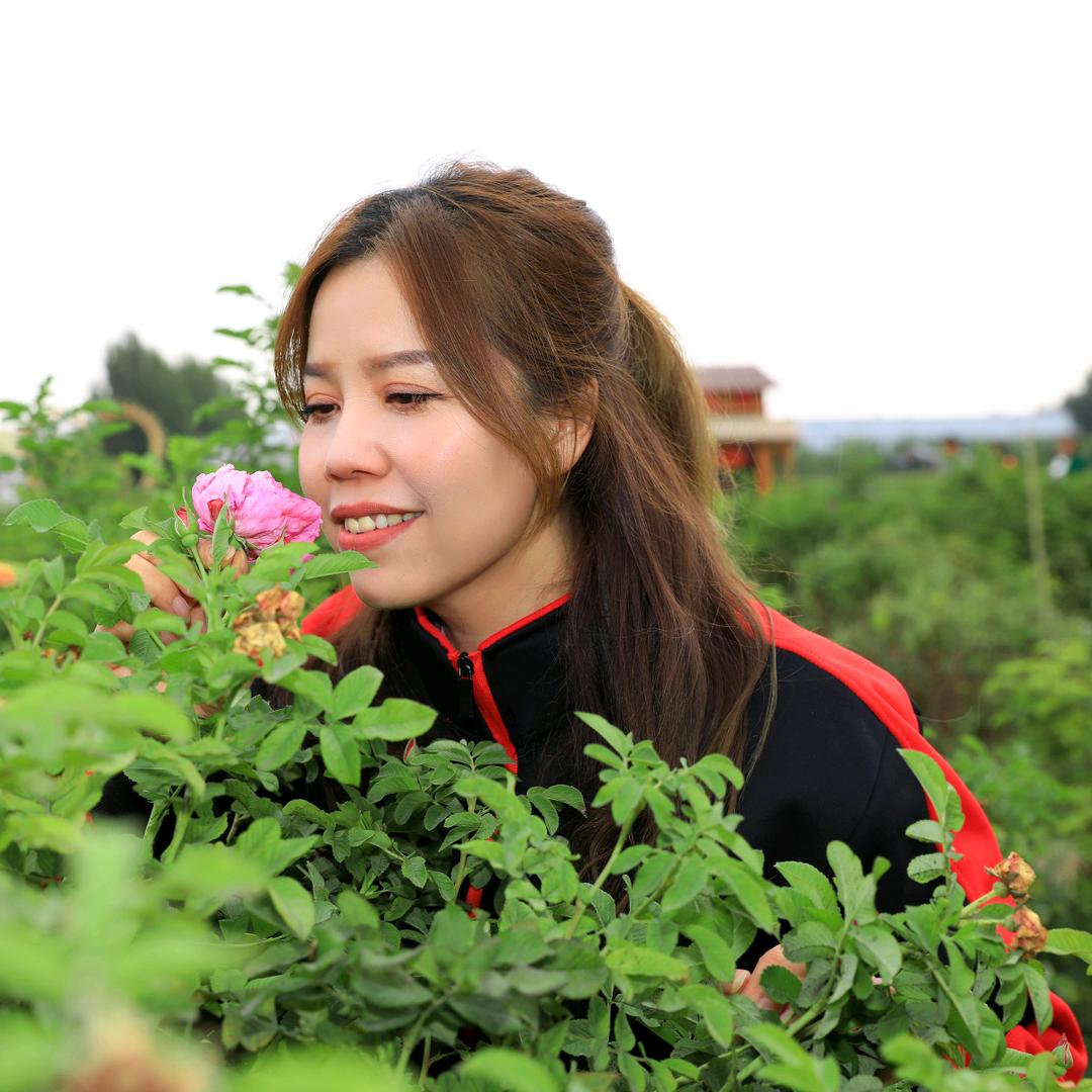 玫瑰姐姐