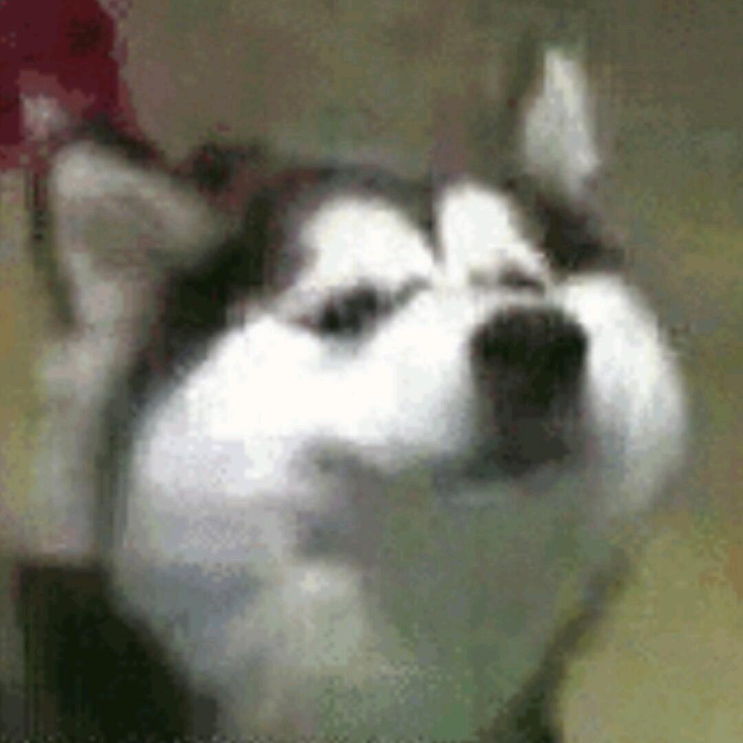 十二常青