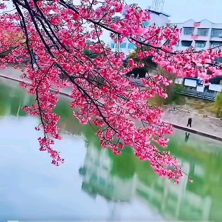 陌路