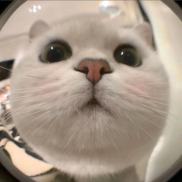 伤心小熊.