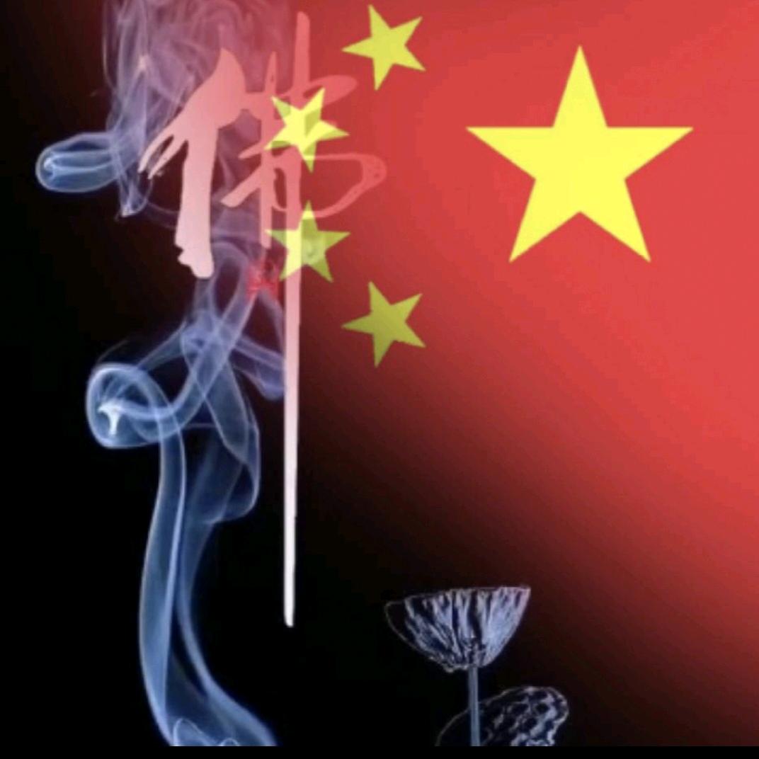 髦髦雨☔🐭爱🐈