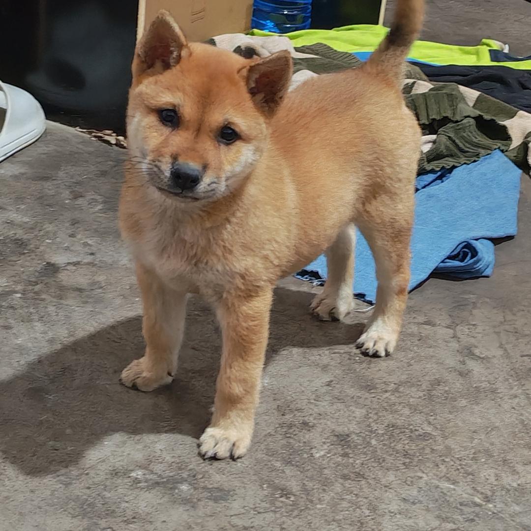 এ独饮残酒໌ᮨ☞