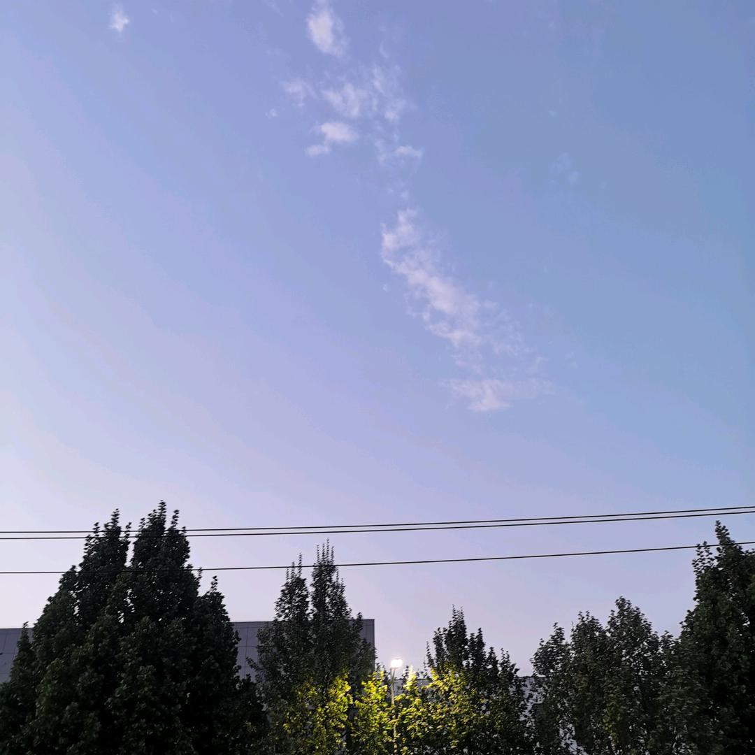 泽葵121