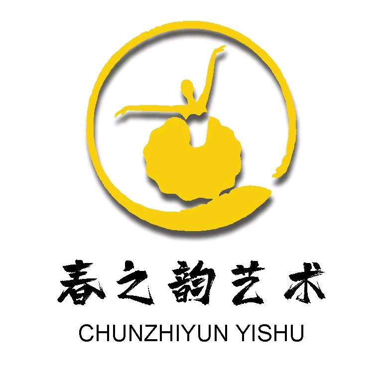 台前县春之韵艺术培训有限公司
