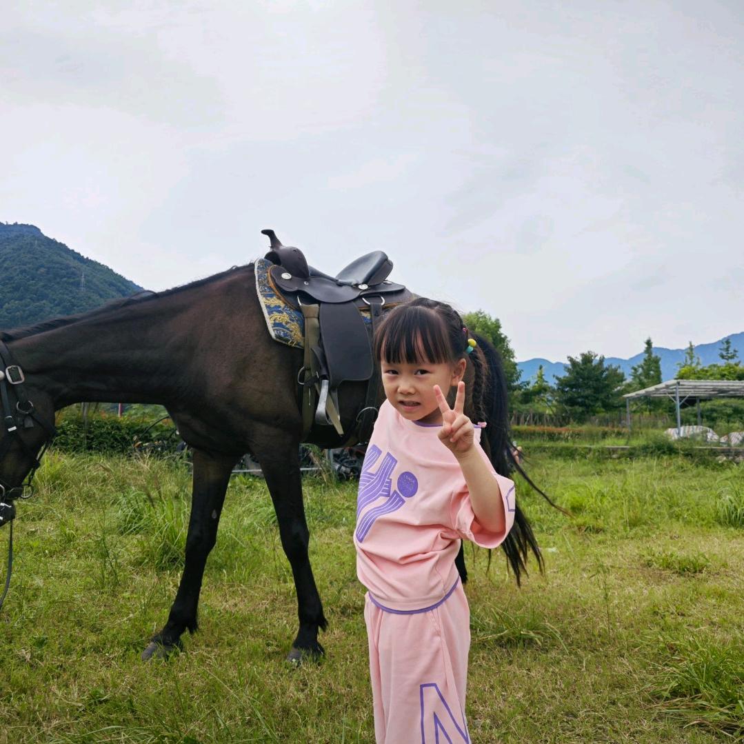四叔好物
