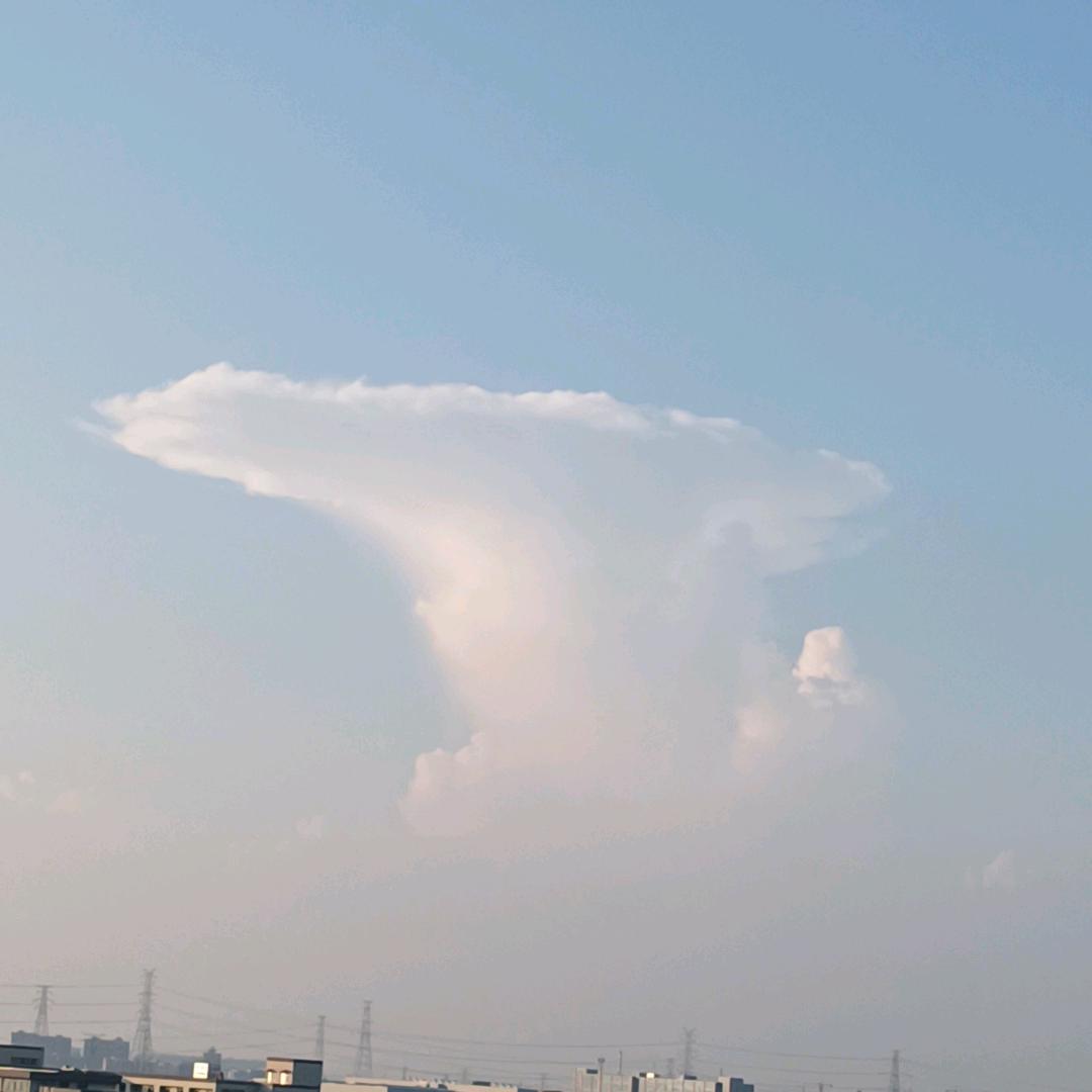 あ余生不将就あ