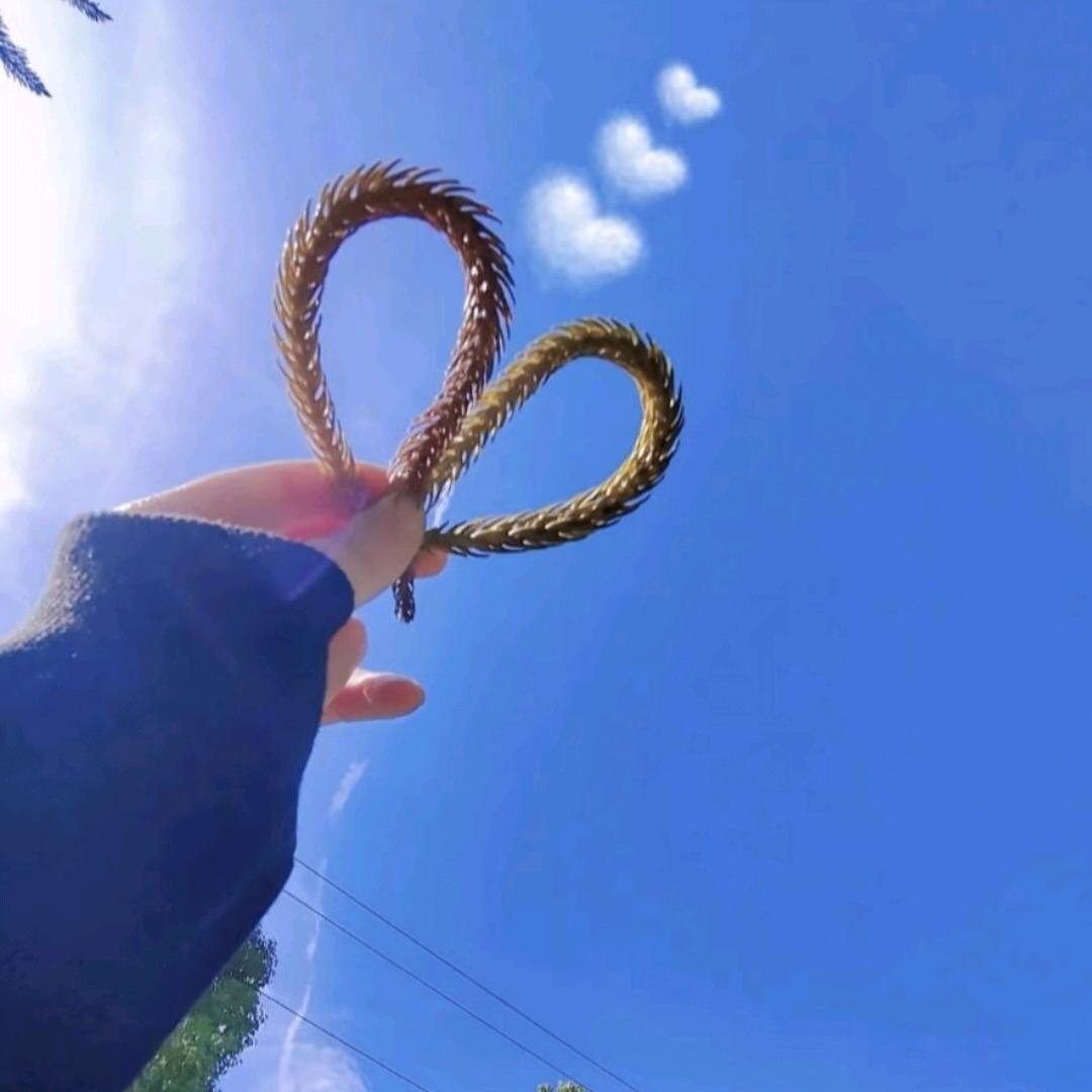 🥀᪲微笑前行꧔ꦿᮨ